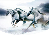 省内排行前十，设计、施工实力排前